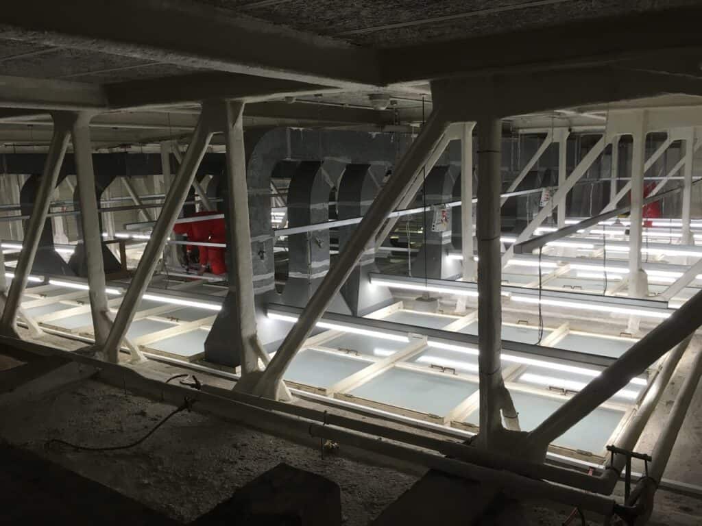 LED lighting installation replacing outdated fixtures for improved energy savings.